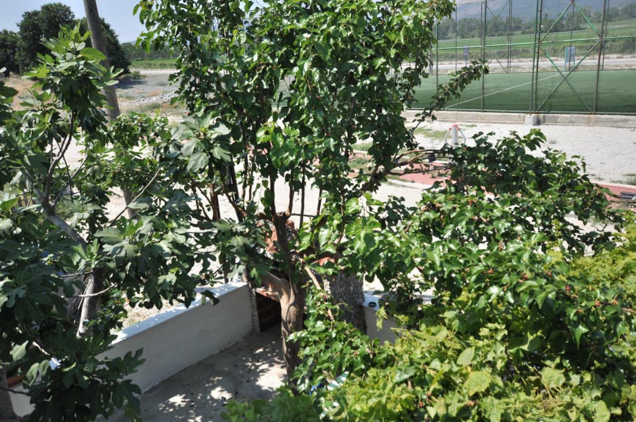 Elite Apart Pansiyon İmroz Esterno foto